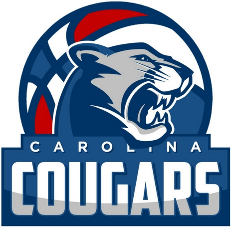 Carolina Cougars 2016-Pres Primary Logo iron on transfers for T-shirts